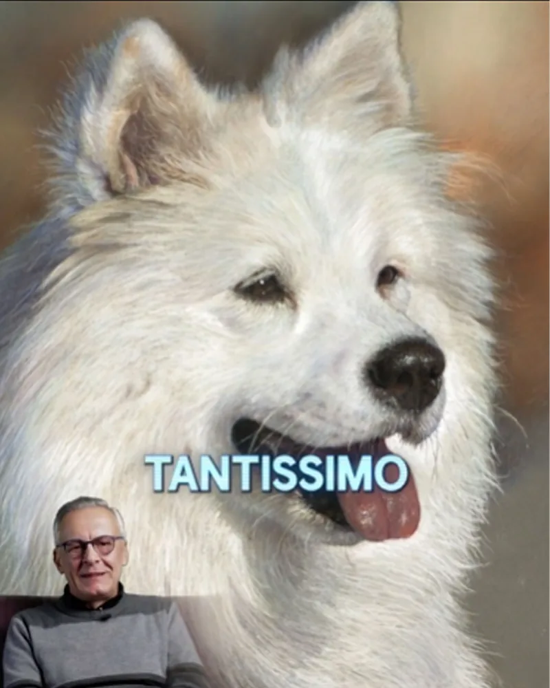 Anteprima del videocorso: ritratto a pastello di un cane bianco