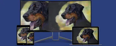 Anteprima del corso &laquo;Ritrarre la forza di un Dobermann&raquo;