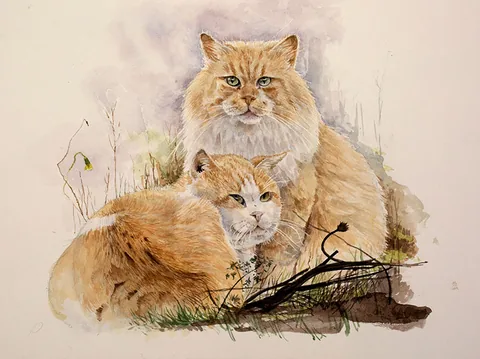 Acquerello con gatti dipinto da Enrico De Cenzo